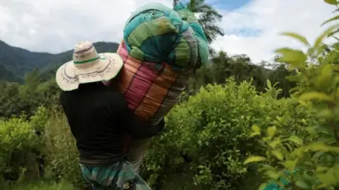 United States Designates the South American Nation as Failing to Cooperate in Anti-Drug Efforts