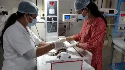 Baby Buried Living in the Country Battles for Her Life