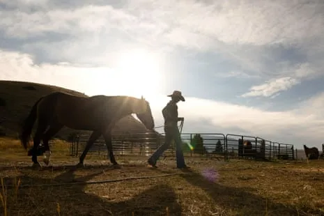 Discover the US Female Ranchers Redefining Contemporary Farm Life