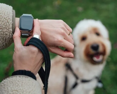 The Truth Regarding Wearable Tech? Living Improves Lacking a Nagging Zealot on Your Wrist